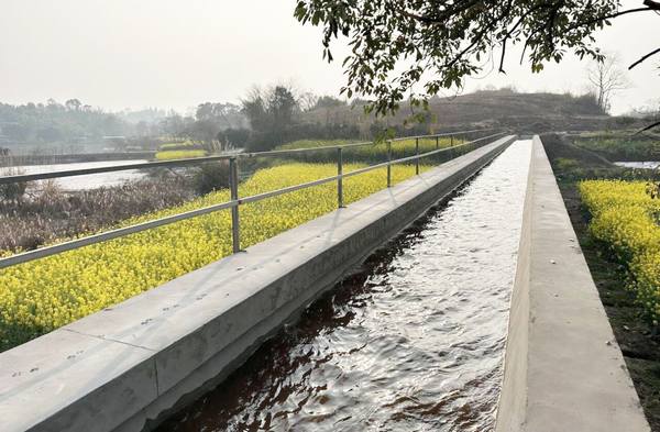 不誤農(nóng)時(shí)助春耕——都江堰灌區(qū)“十四五”續(xù)建配套與現(xiàn)代化改造工程施工第六標(biāo)段各渠道順利通水