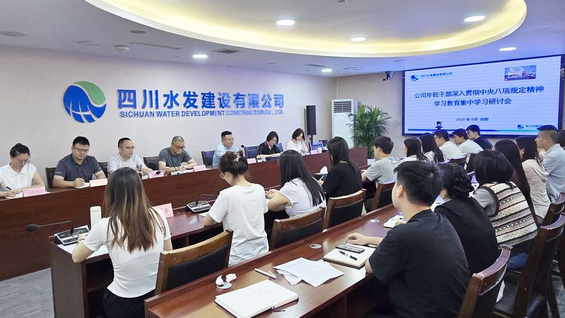 公司團(tuán)委召開年輕干部集中學(xué)習(xí)研討會(huì)